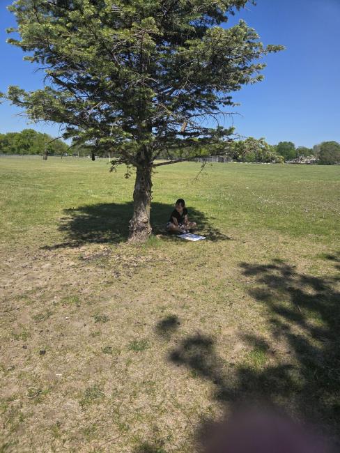 En Plein Air7